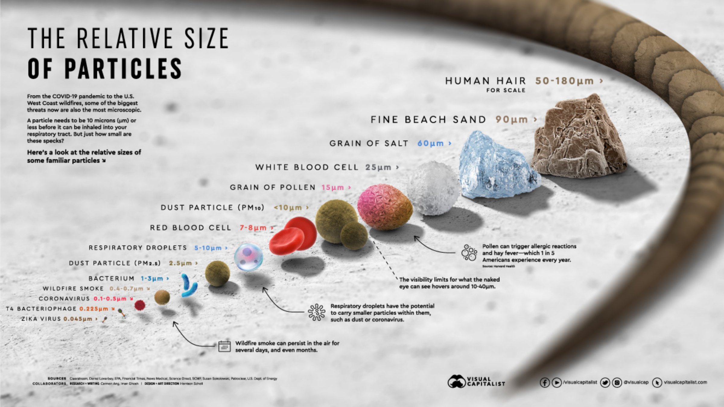 infographics and charts - relative size of particles - The Relative Size Of Particles From the Covid19 pandemic to the U.S. West Coast wildfires, some of the biggest threats now are also the most microscopic. A particle needs to be 10 microns um or less b