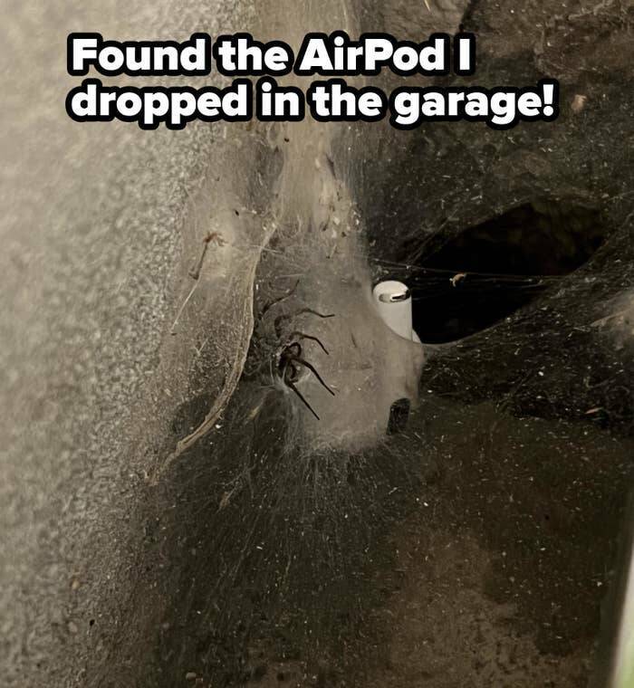 people having a bad day - soil - Found the AirPod I dropped in the garage!