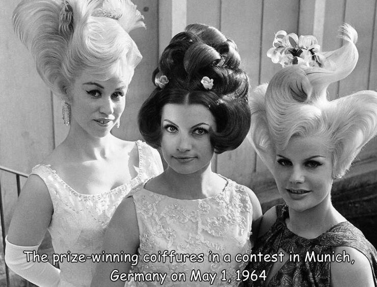 monday morning randomness - A M The prizewinning coiffures in a contest in Munich, Germany on