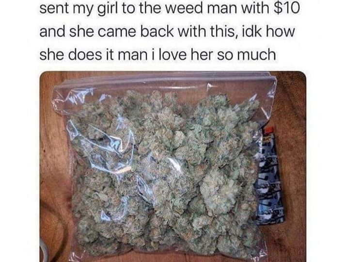 spicy memes and pics - sent my girl to the weed man - sent my girl to the weed man with $10 and she came back with this, idk how she does it man i love her so much