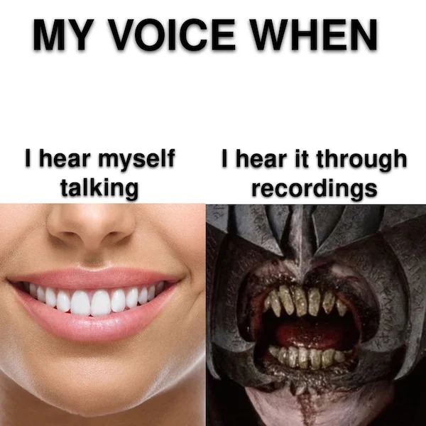 relatable memes - sauron lord of the rings face - My Voice When I hear myself I hear it through talking recordings