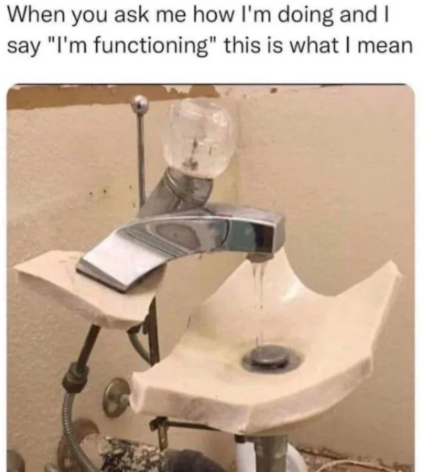 relatable memes - you ask me how i m doing - When you ask me how I'm doing and I say "I'm functioning" this is what I mean