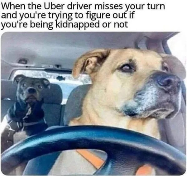 relatable memes - dog uber driver meme - When the Uber driver misses your turn and you're trying to figure out if you're being kidnapped or not