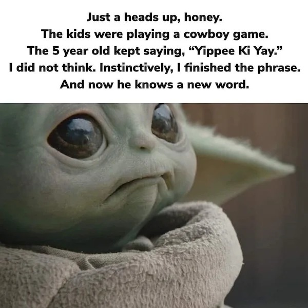 relatable memes - photo caption - Just a heads up, honey. The kids were playing a cowboy game. The 5 year old kept saying, "Yippee Ki Yay." I did not think. Instinctively, I finished the phrase. And now he knows a new word.