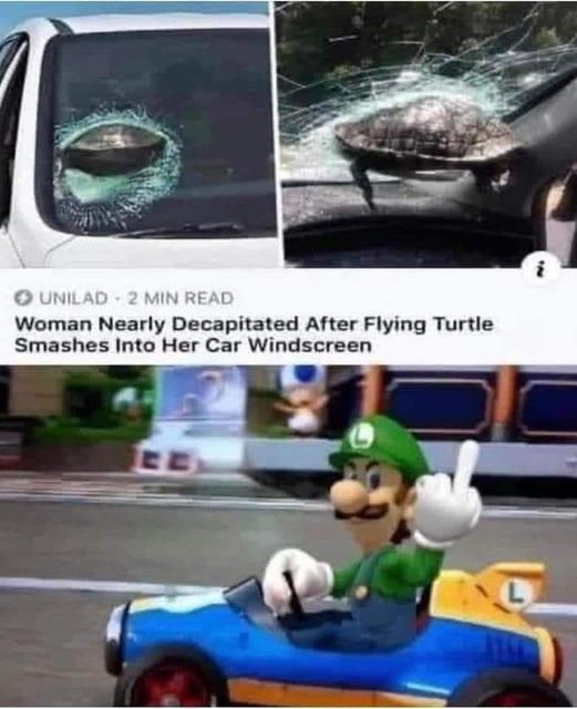 funny memes and pics - turtle in windshield meme - Unilad 2 Min Read Woman Nearly Decapitated After Flying Turtle Smashes Into Her Car Windscreen