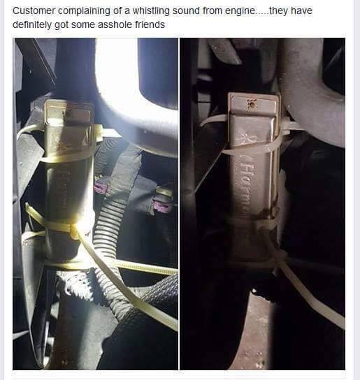 funny memes and pics - harmonica in car engine - Customer complaining of a whistling sound from engine...... they have definitely got some asshole friends 23 Harmon