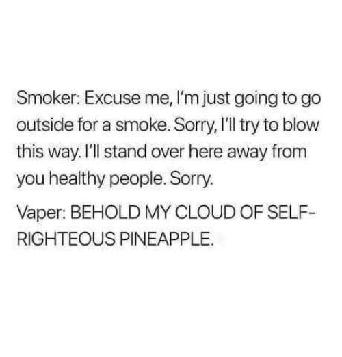 funny memes and pics - Humor - Smoker Excuse me, I'm just going to go outside for a smoke. Sorry, I'll try to blow this way. I'll stand over here away from you healthy people. Sorry. Vaper Behold My Cloud Of Self Righteous Pineapple.