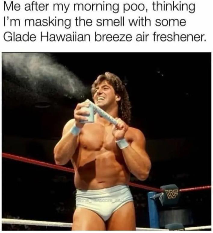 wrestler - Me after my morning poo, thinking I'm masking the smell with some Glade Hawaiian breeze air freshener. Pardbore eler W