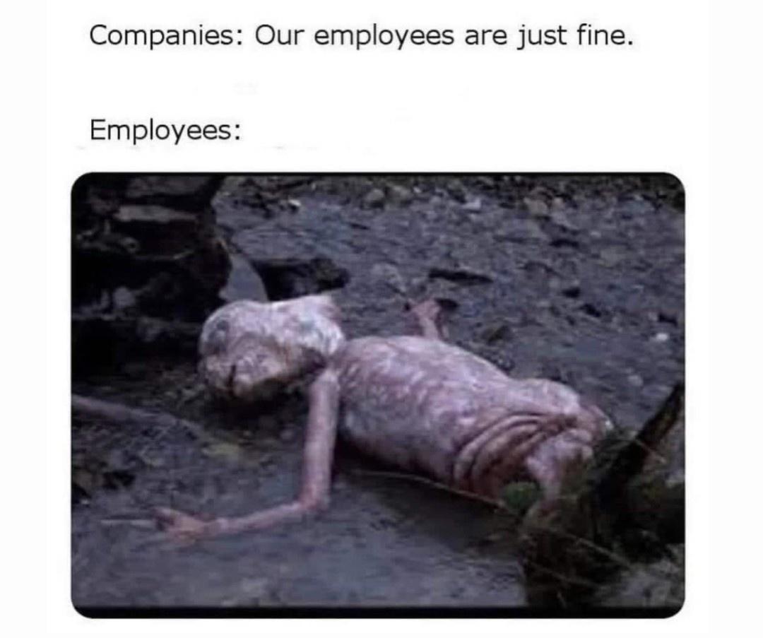 companies our employees are just fine - Companies Our employees are just fine. Employees