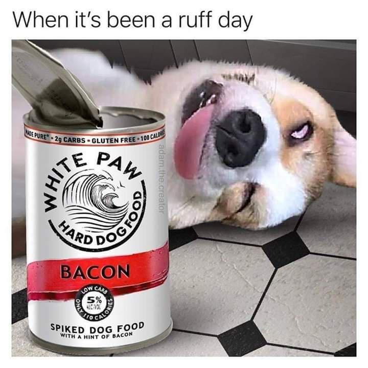 Dog - When it's been a ruff day Made Pure 29 Carbs Gluten Free100 Calore Paw . Ard Bacon Low Cars 5% Alcans Only Alories Dog Food Spiked Dog Food With A Hint Of Bacon adam.the.creator