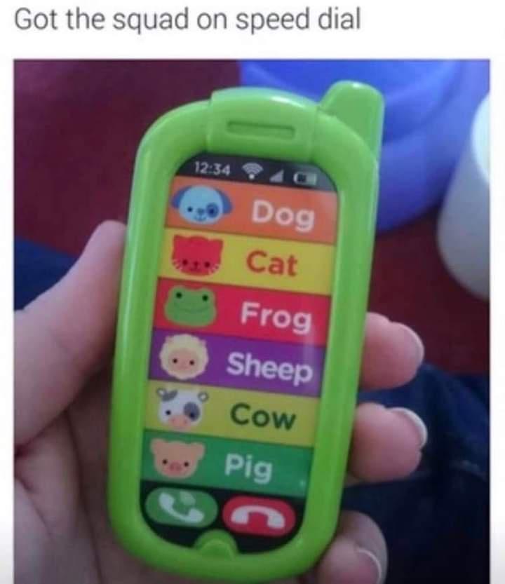 Meme - Got the squad on speed dial Dog Cat Frog Sheep Cow Pig