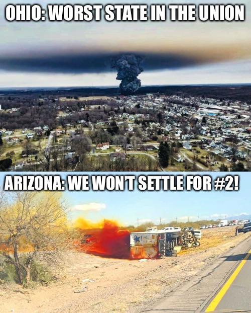 funny memes - tree - OhioWorst State In The Union Arizona We Wont Settle For !
