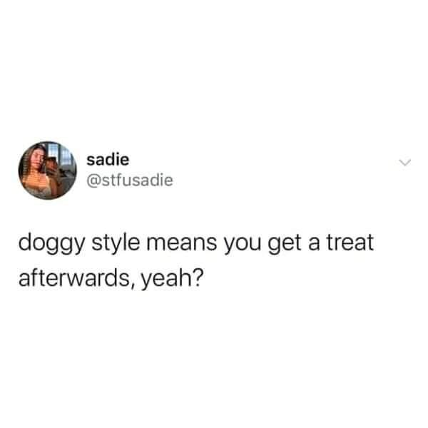 spicy memes - nobody is too busy to text you back they just dont want to talk to you - sadie doggy style means you get a treat afterwards, yeah?