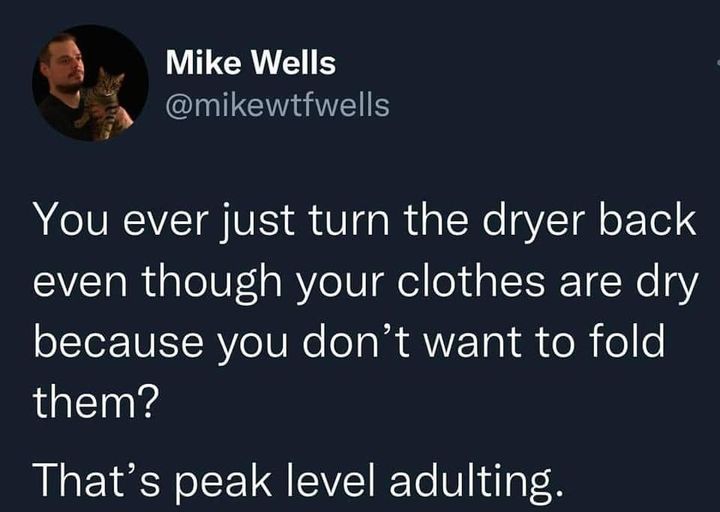 Meme - Mike Wells You ever just turn the dryer back even though your clothes are dry because you don't want to fold them? That's peak level adulting.