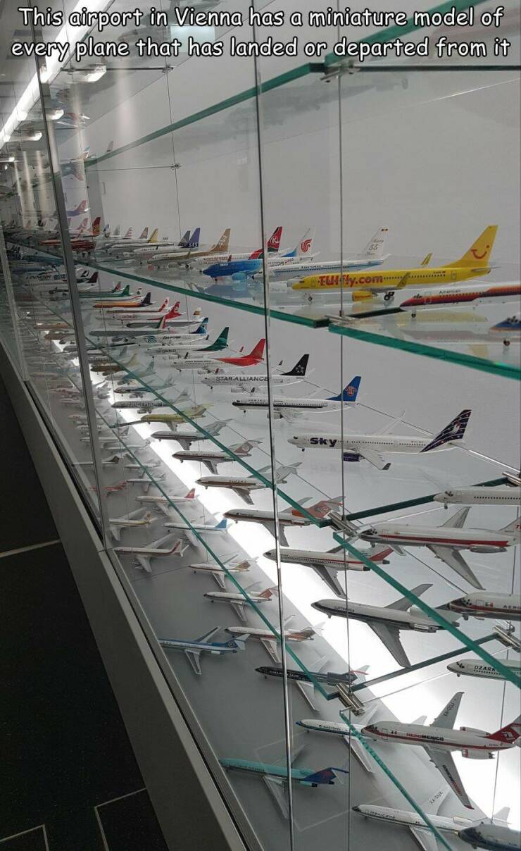 wien airport airplane models - This airport in Vienna has a miniature model of every plane that has landed or departed from it TUIfly.com Sky XaDu Ozark