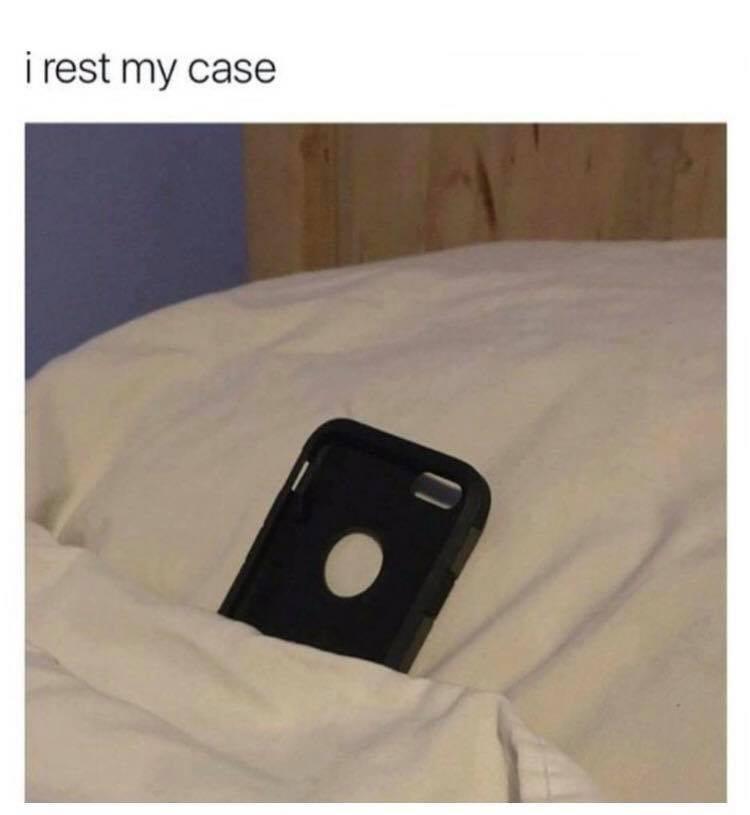 resting case - i rest my case