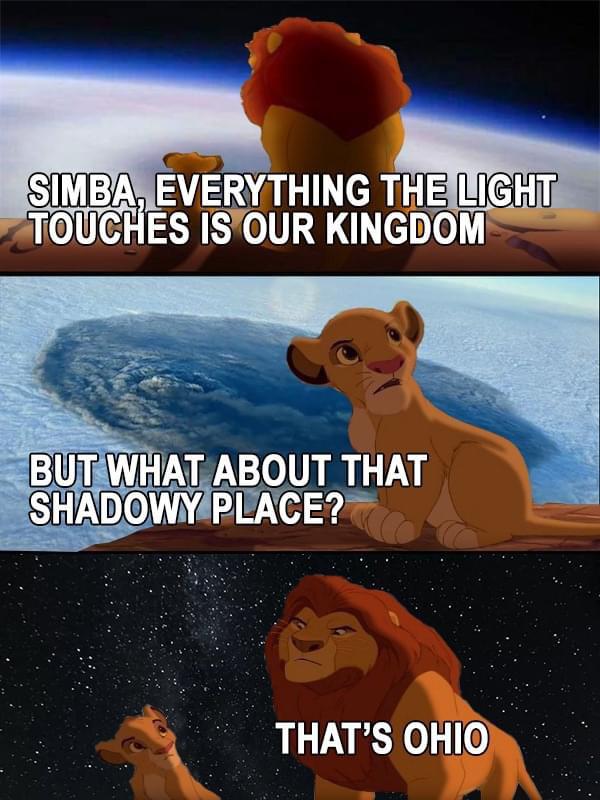 photo caption - Simba, Everything The Light Touches Is Our Kingdom But What About That Shadowy Place? That'S Ohio