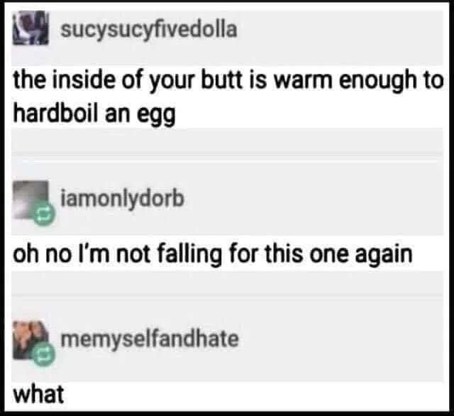 Horny police - Funny meme - the inside of your butt is warm enough to hardboil an egg oh no I'm not falling for this one again