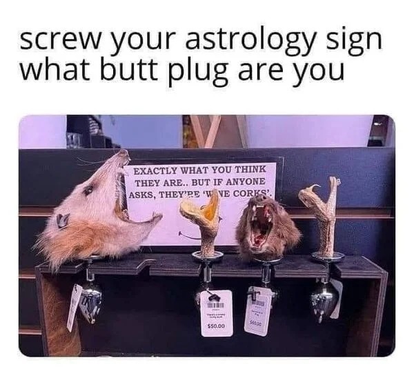 spicy memes and pics - screw your astrology sign what butt plug are you Exactly What You Think They Are.. But If Anyone Asks, They'Re 'Wve Corks'. $50.00 fo $40.00