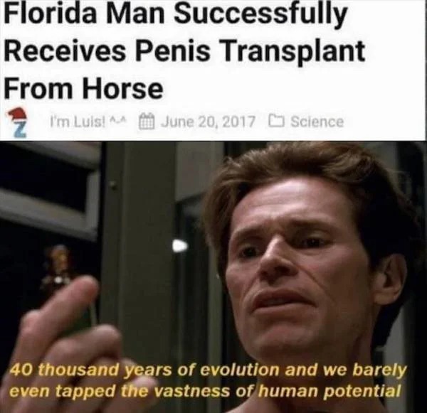 spicy memes and pics - photo caption - Florida Man Successfully Receives Penis Transplant From Horse I'm Luis! Science 40 thousand years of evolution and we barely even tapped the vastness of human potential