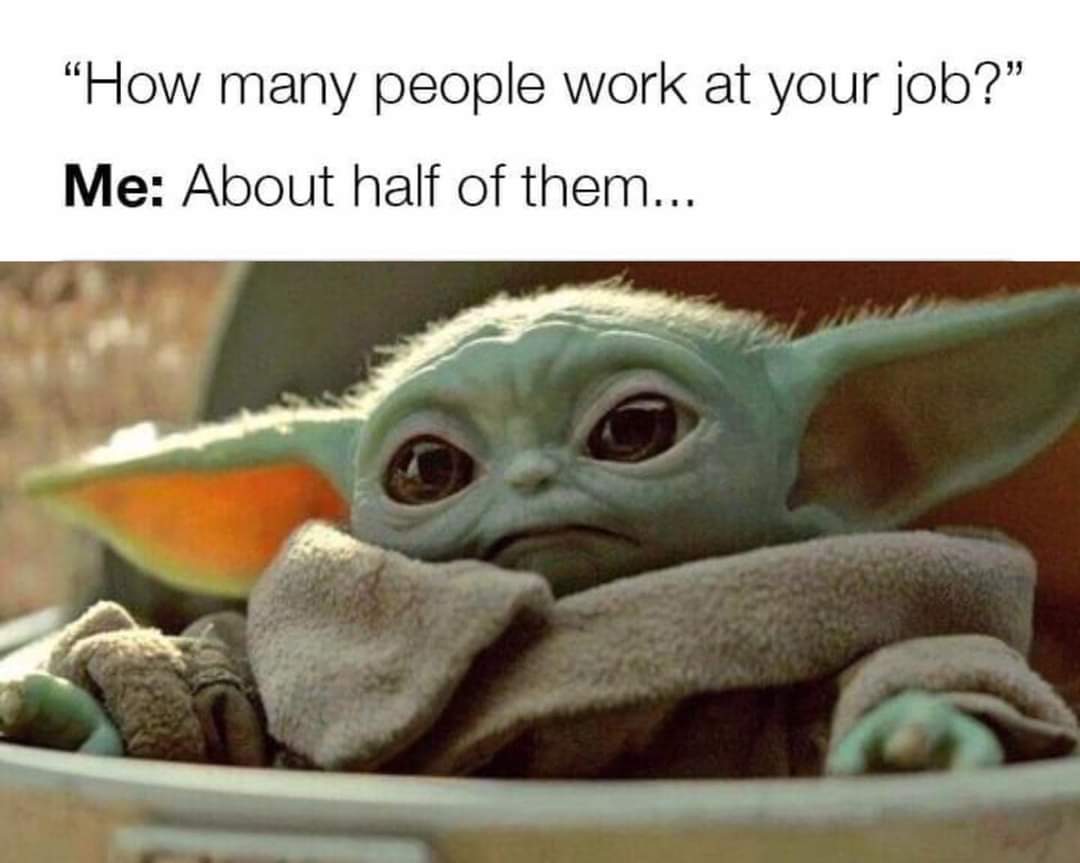 funny memes and pics - Meme - "How many people work at your job?" Me About half of them...