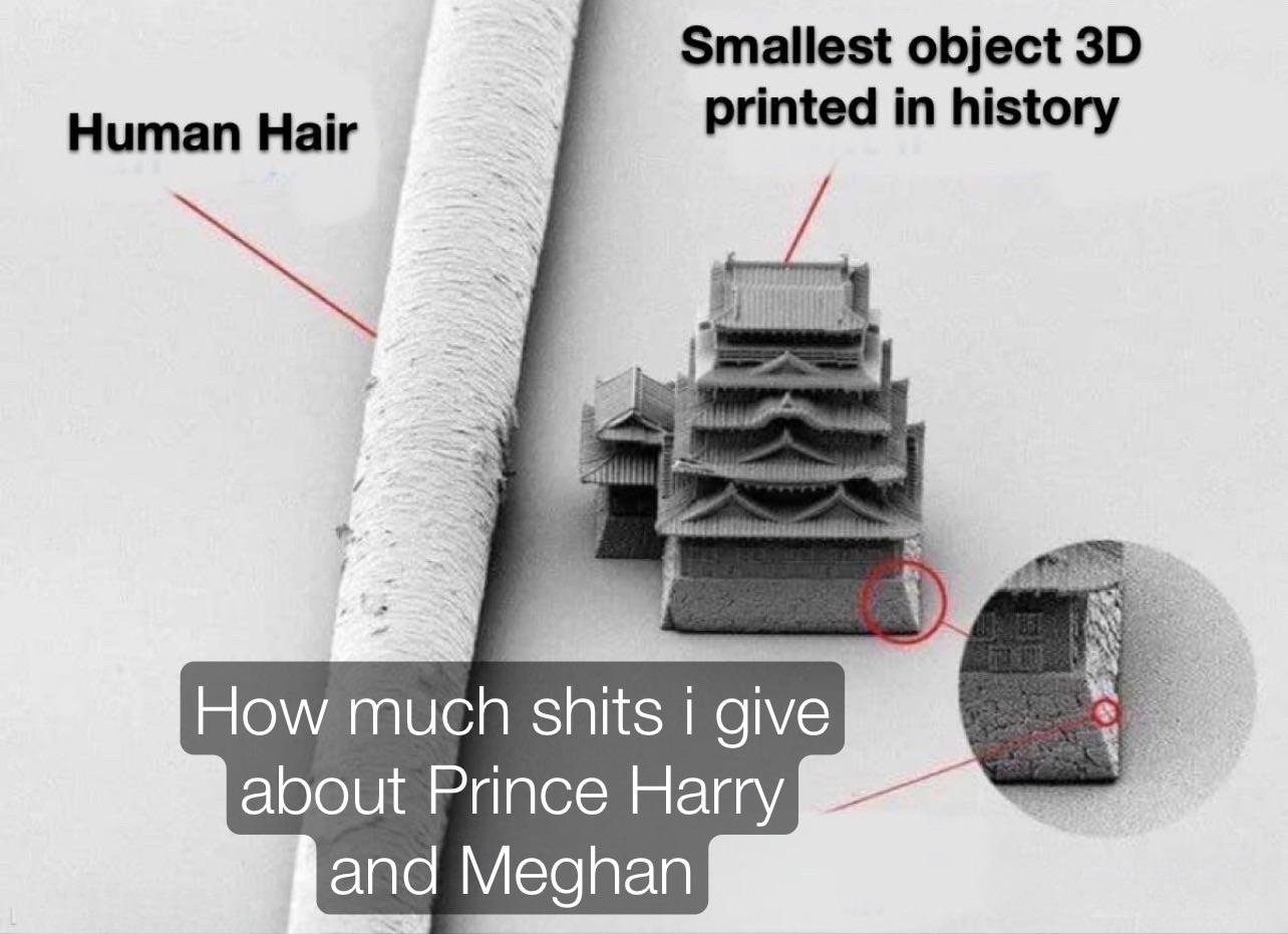 funny memes and pics - human hair smallest 3d print in the world - Human Hair Smallest object 3D printed in history How much shits i give about Prince Harry and Meghan