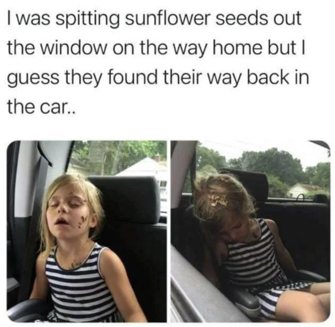 Fails and Facepalms - sum of arithmetic series - I was spitting sunflower seeds out the window on the way home but I guess they found their way back in the car..