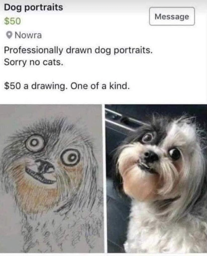 Fails and Facepalms - dog - Dog portraits $50 Nowra Professionally drawn dog portraits. Sorry no cats. $50 a drawing. One of a kind. Message