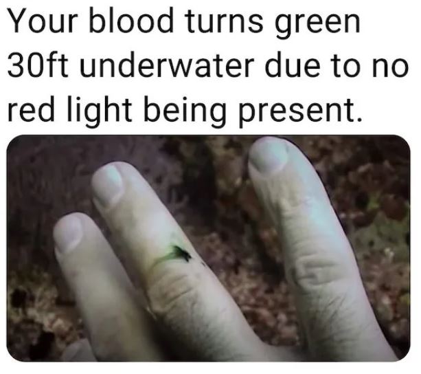 fascinating facts - Blood - Your blood turns green 30ft underwater due to no red light being present.