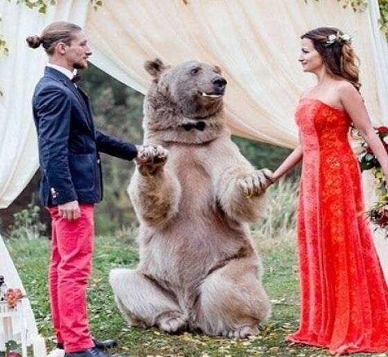 cool random pics - stepan bear russia