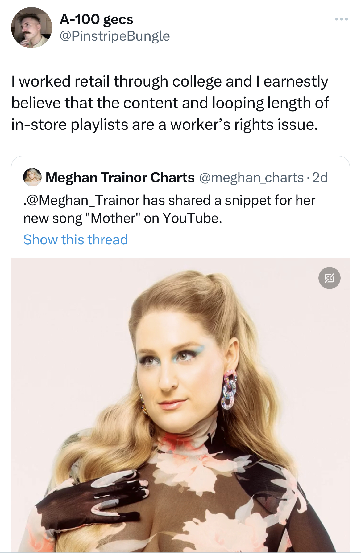 tweets roasting celebs - meghan trainor see through - A100 gecs I worked retail through college and I earnestly believe that the content and looping length of instore playlists are a worker's rights issue. Meghan Trainor Charts . Trainor has d a snippet f