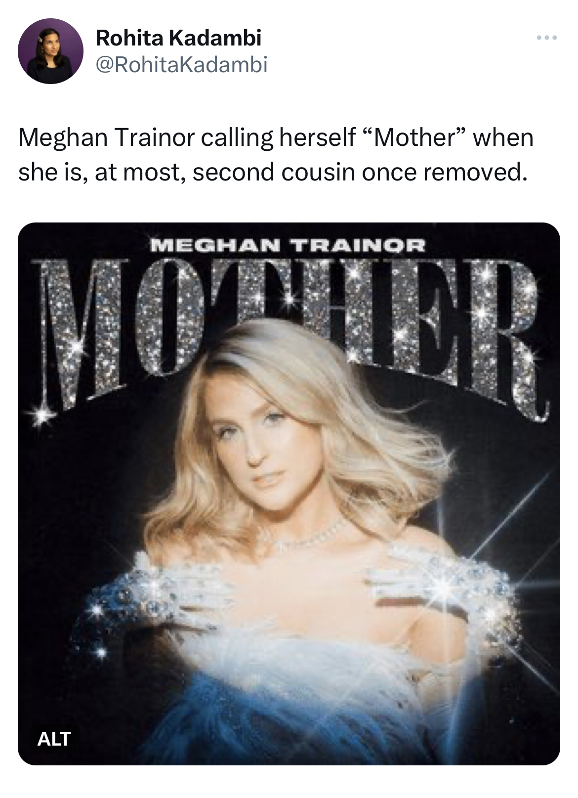 tweets roasting celebs - Meghan Trainor - 4x Rohita Kadambi Meghan Trainor calling herself "Mother" when she is, at most, second cousin once removed. Alt Meghan Trainor