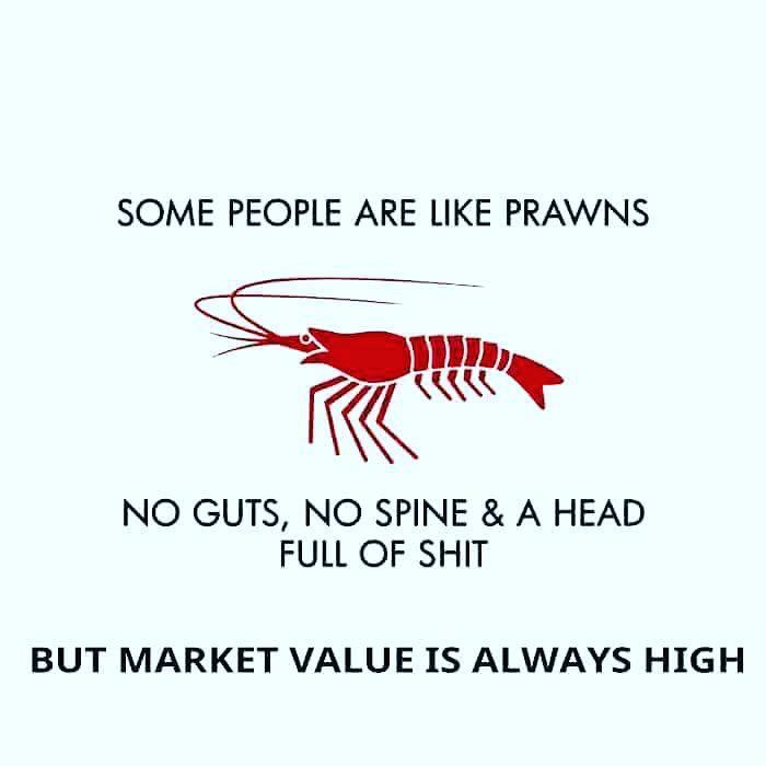 funny memes and pics - some people are like prawns - Some People Are Prawns No Guts, No Spine & A Head Full Of Shit But Market Value Is Always High