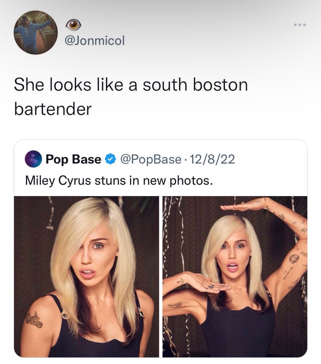 Rare insults - long hair - She looks a south boston bartender Pop Base