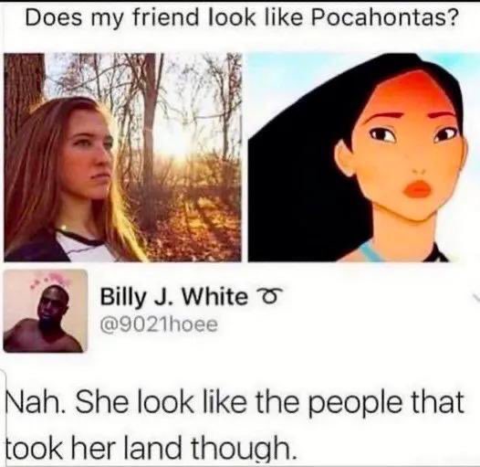Rare insults - does my friend look like pocahontas - Does my friend look Pocahontas? Billy J. White Nah. She look the people that took her land though.