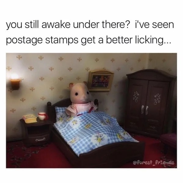 spicy memes - room - you still awake under there? i've seen postage stamps get a better licking... 224