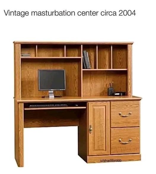 spicy memes - Desk - Vintage masturbation center circa 2004 ushartthrobb