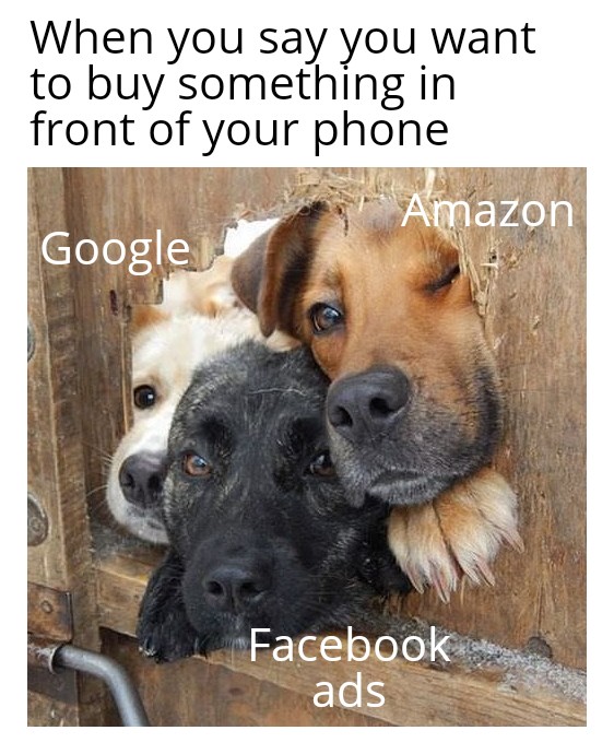 dank memes - dog - When you say you want to buy something in front of your phone Google Amazon Facebook ads