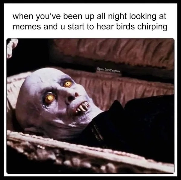 dank memes - the marble mountains - when you've been up all night looking at memes and u start to hear birds chirping