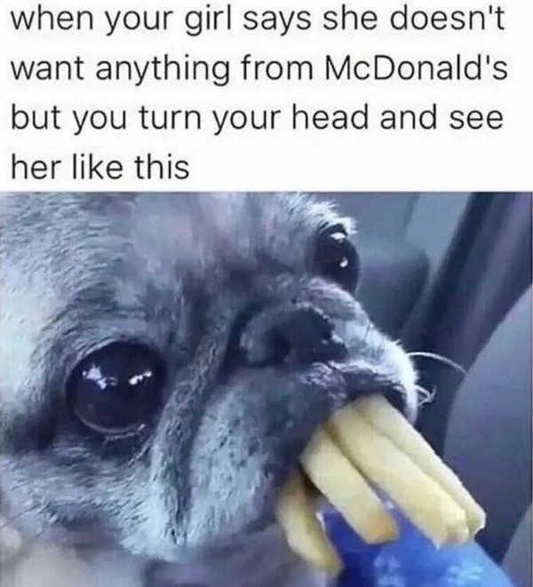 dank memes - funny pug memes - when your girl says she doesn't want anything from McDonald's but you turn your head and see her this