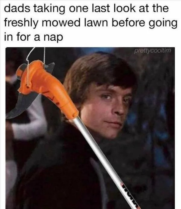 dank memes - photo caption - dads taking one last look at the freshly mowed lawn before going in for a nap prettycooltim