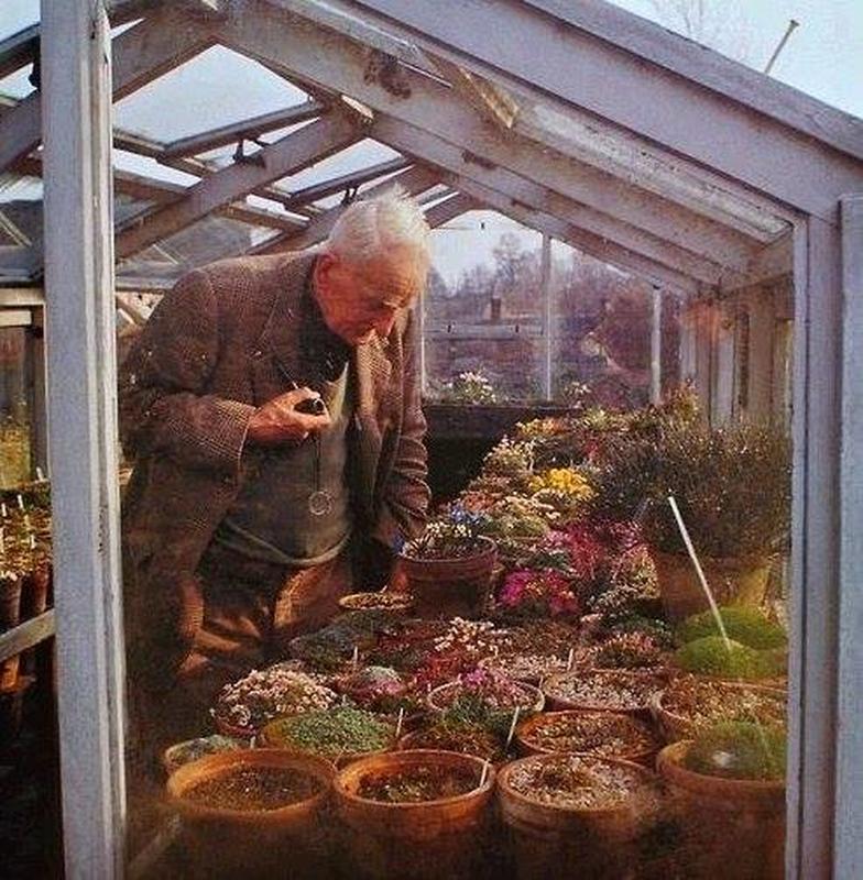 fascinating photos throughout history tolkien flowers