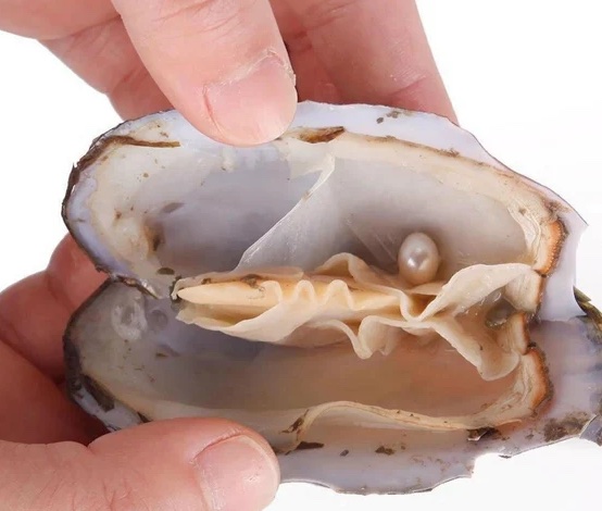 funniest euphemisms for masturbation oyster pearl