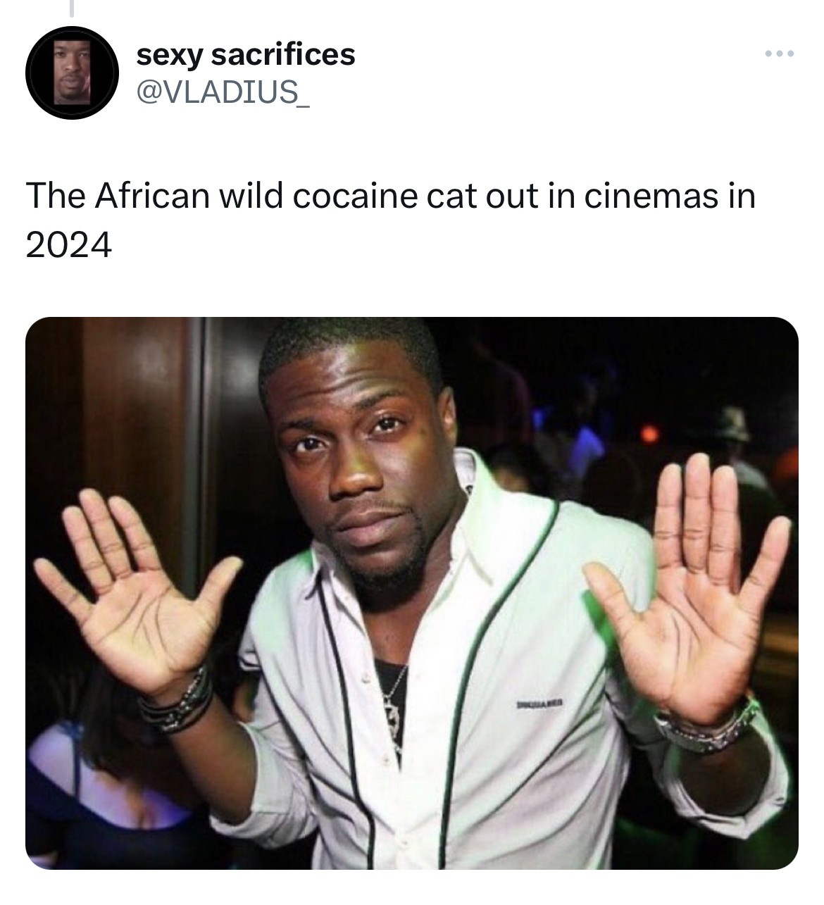 savage and funny tweets -photo caption - sexy sacrifices The African wild cocaine cat out in cinemas in 2024 ...