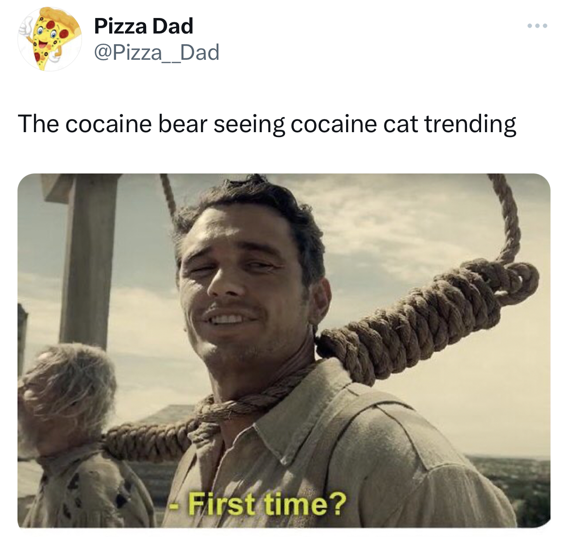 Ohio Cocaine Cat memes - first time meme - Pizza Dad Dad The cocaine bear seeing cocaine cat trending First time?