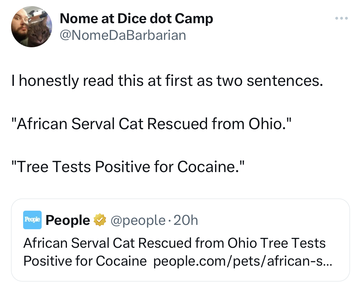 Ohio Cocaine Cat memes - angle - Nome at Dice dot Camp I honestly read this at first as two sentences. "African Serval Cat Rescued from Ohio." "Tree Tests Positive for Cocaine." People People .20h African Serval Cat Rescued from Ohio Tree Tests Positive f