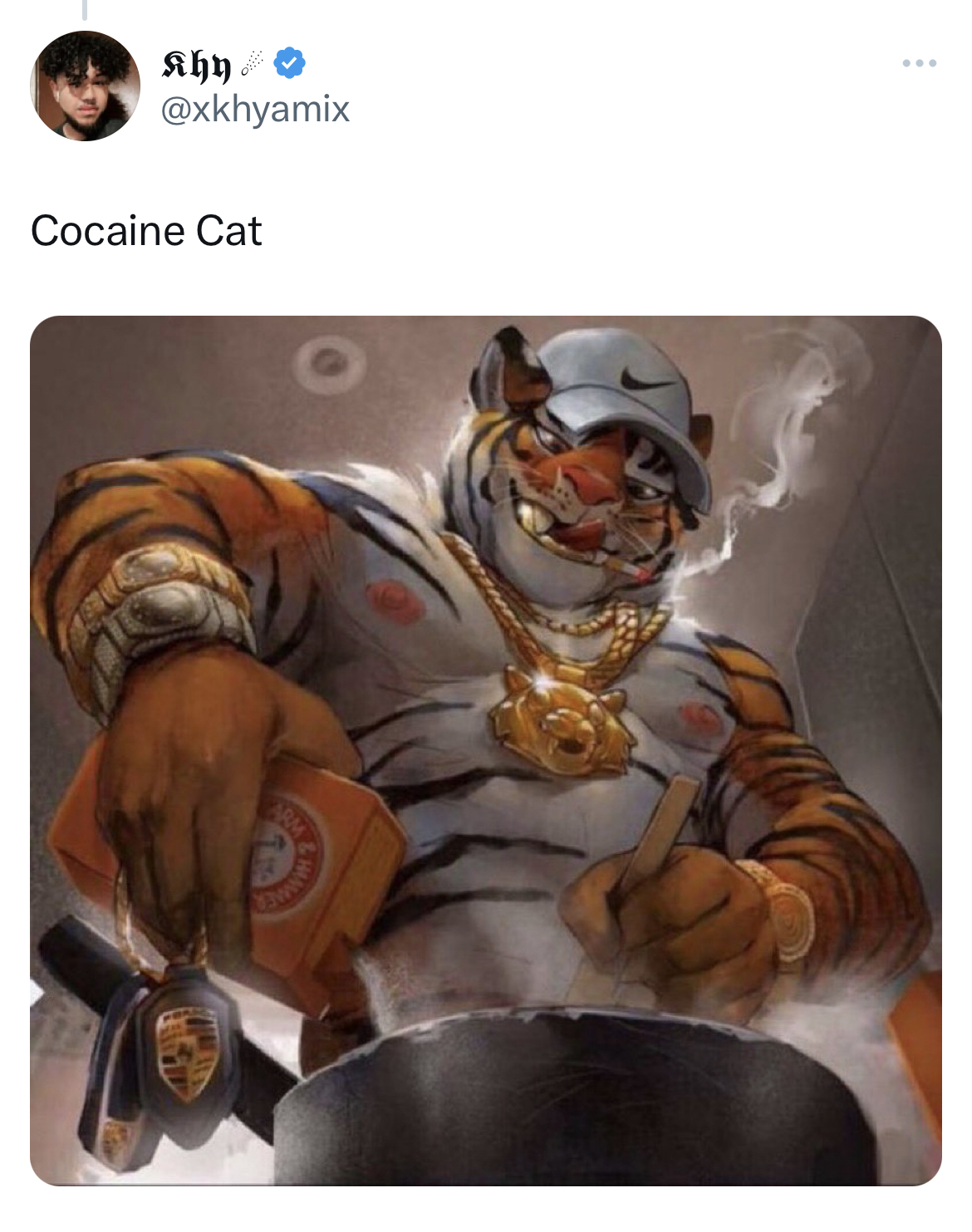 Ohio Cocaine Cat memes - pledge allegiance to the grind i m up early as hell tryna get mine - Khy Cocaine Cat 165
