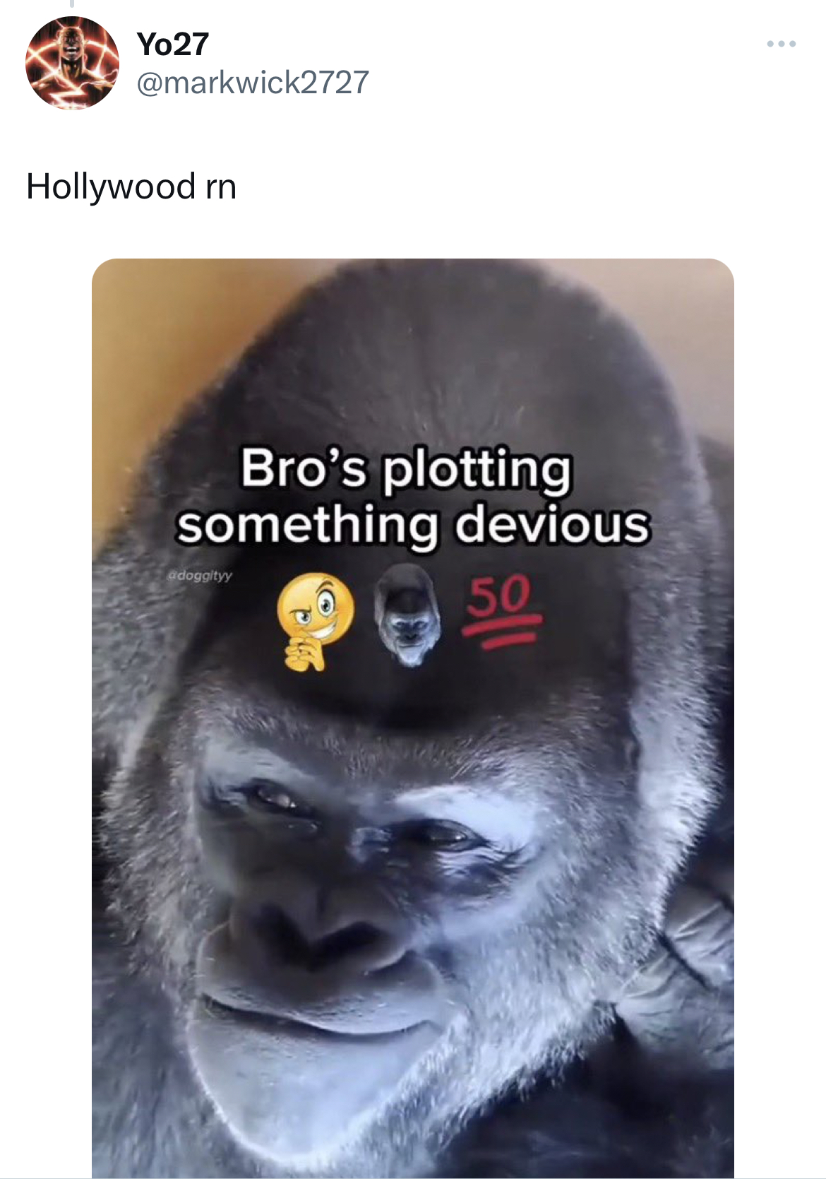 Ohio Cocaine Cat memes - head - Yo27 Hollywood rn Bro's plotting something devious 50 paty B