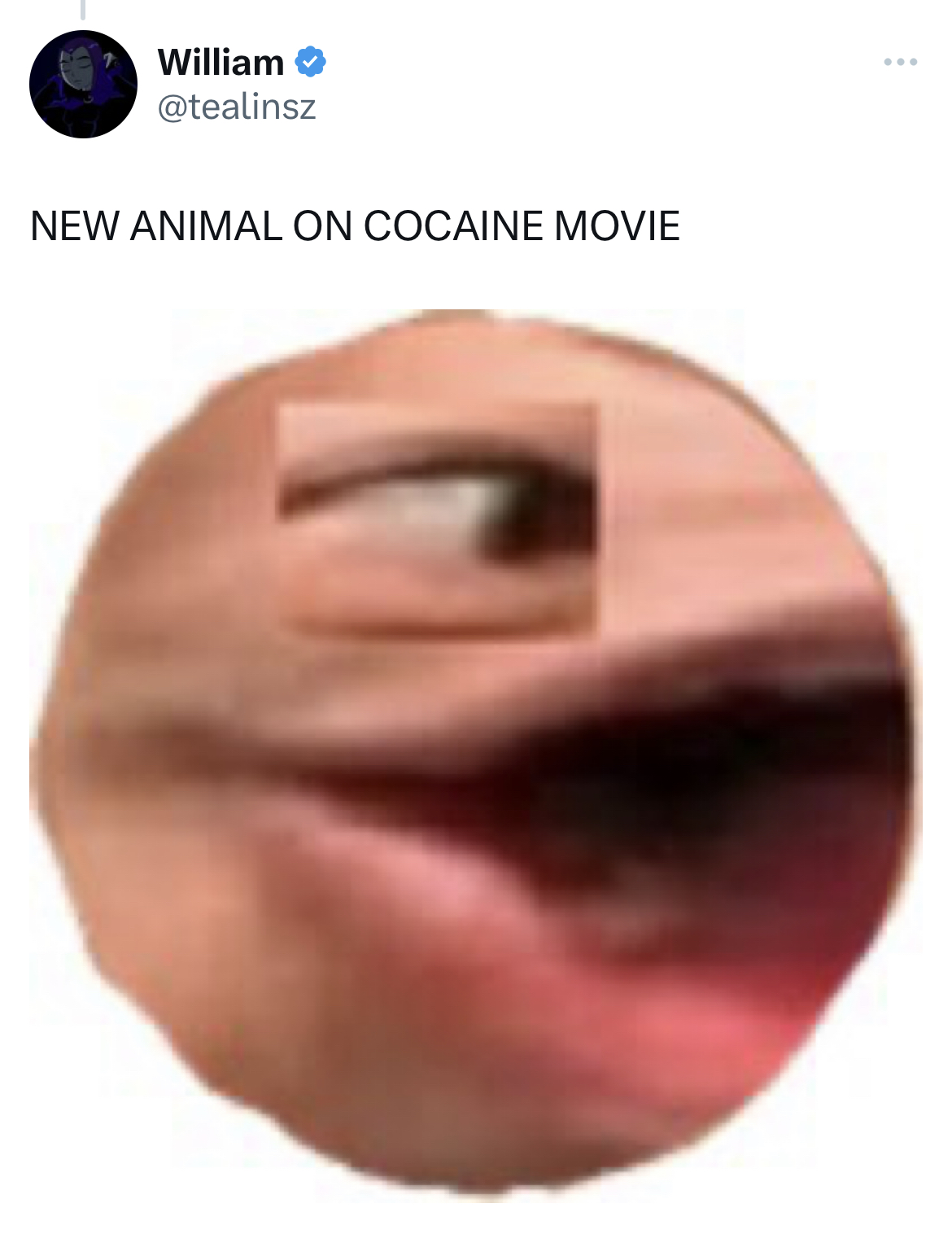 Ohio Cocaine Cat memes - pagman - William New Animal On Cocaine Movie