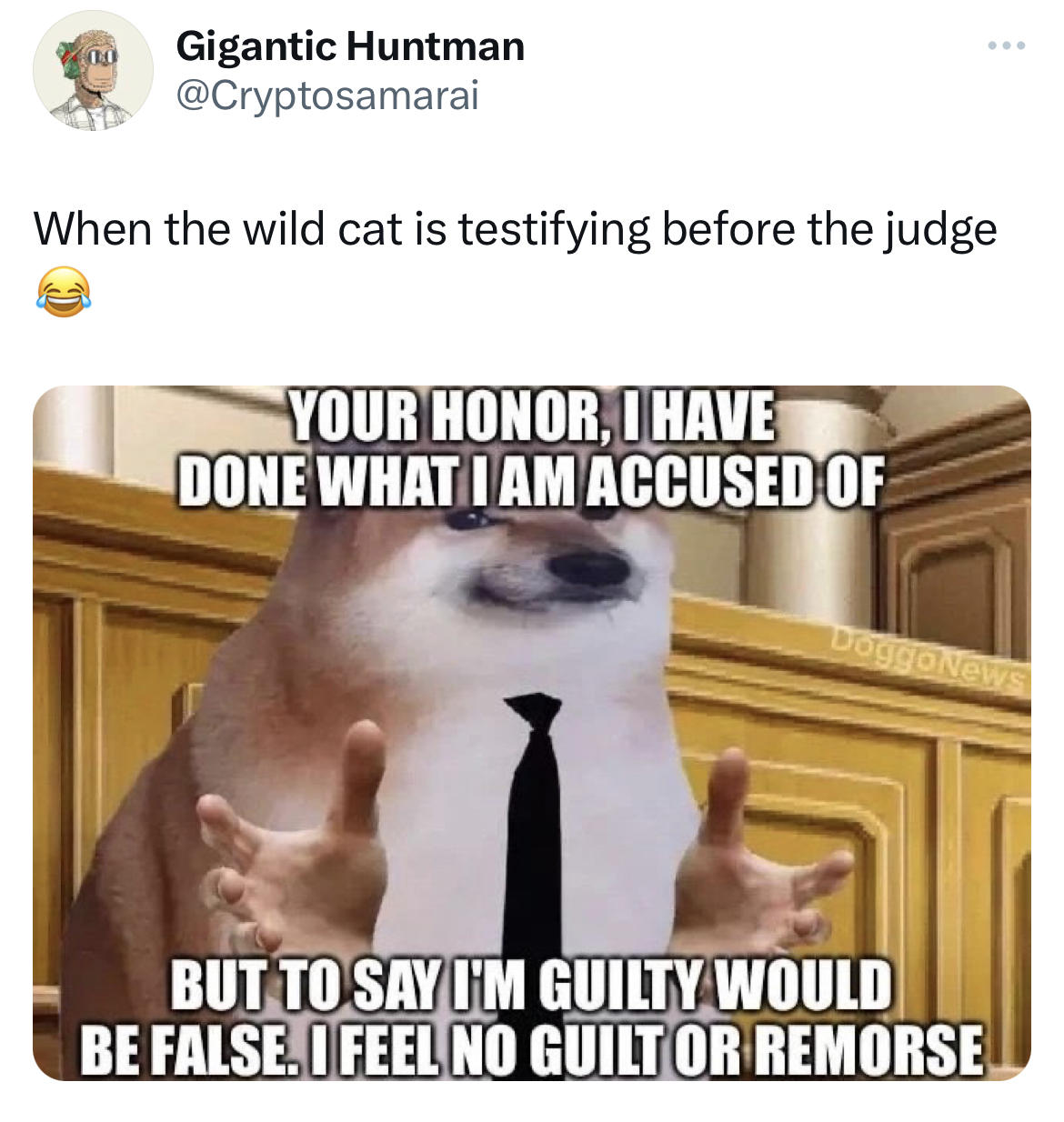 Ohio Cocaine Cat memes - harry potter macros - Gigantic Huntman When the wild cat is testifying before the judge Your Honor, I Have Done What I Am Accused Of DoggoNews But To Say I'M Guilty Would Be False. I Feel No Guilt Or Remorse